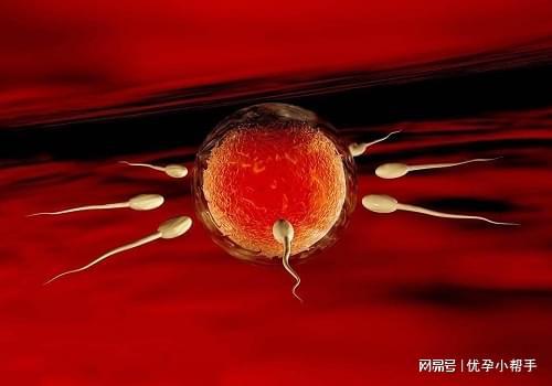 孕期需要注意什么呢？-优孕行ag九游会登录高龄女性备孕及